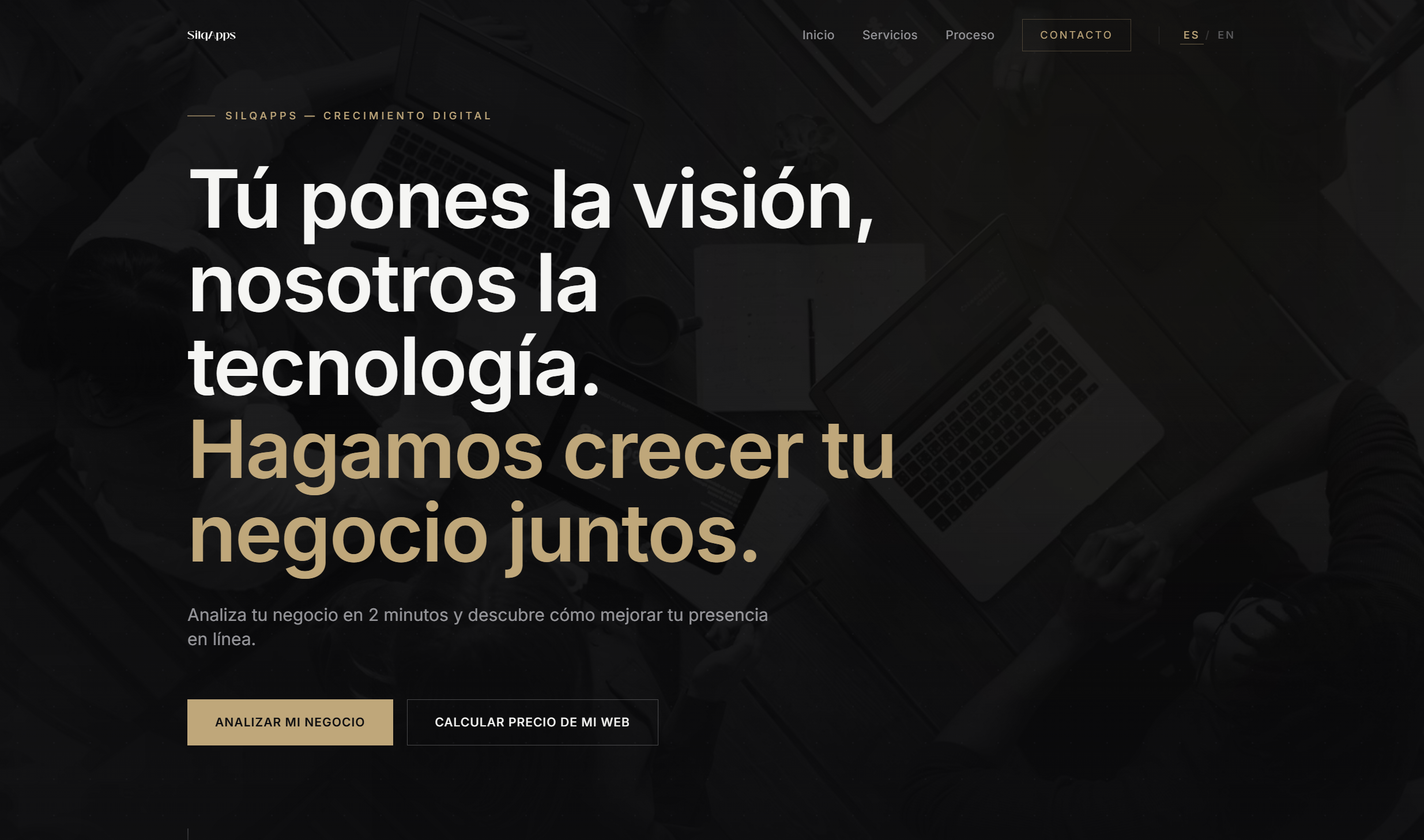 Captura del sitio web del proyecto Sitio para Agencia de Marketing Digital